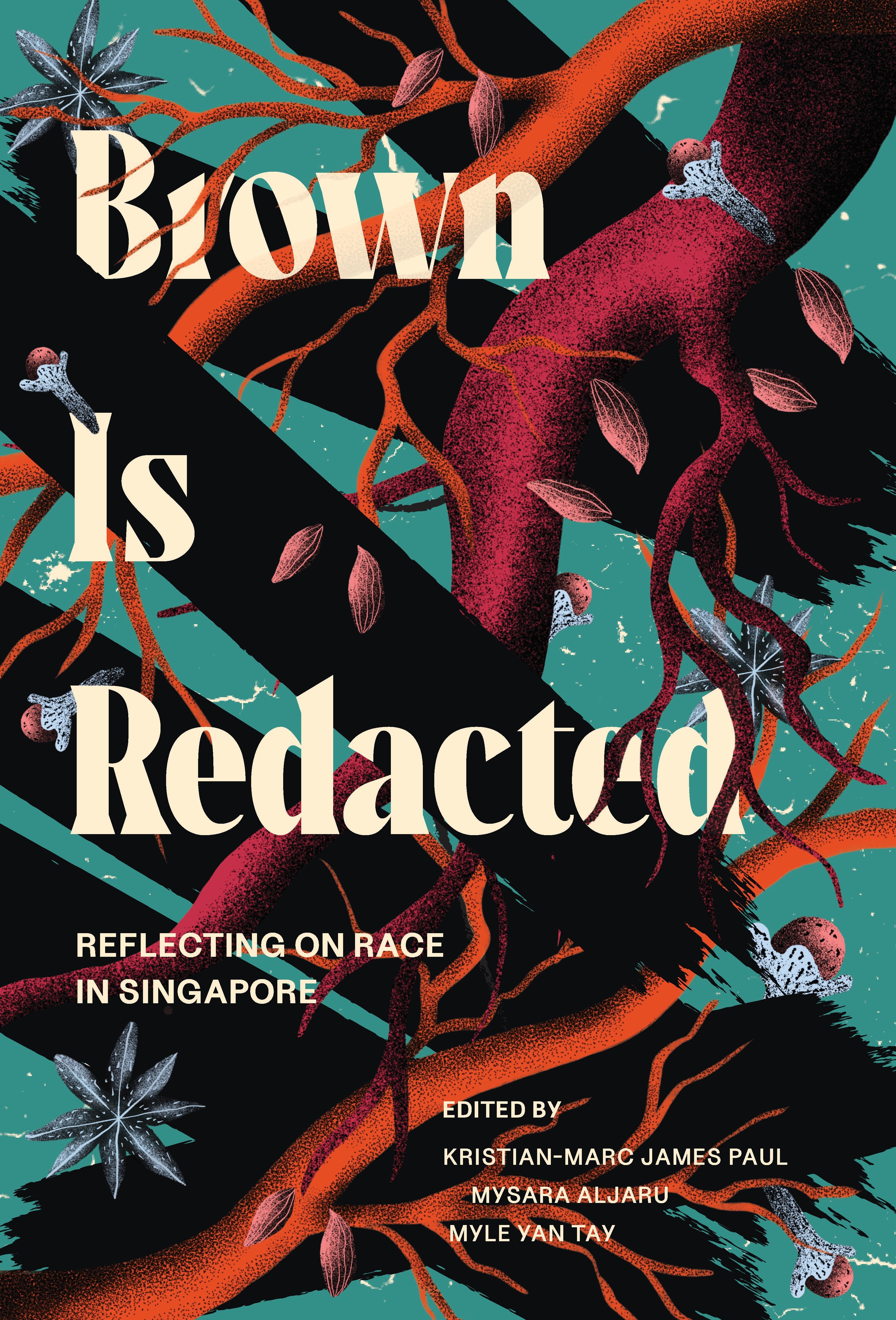 Brown is Redacted: Reflecting on Race in Singapore
