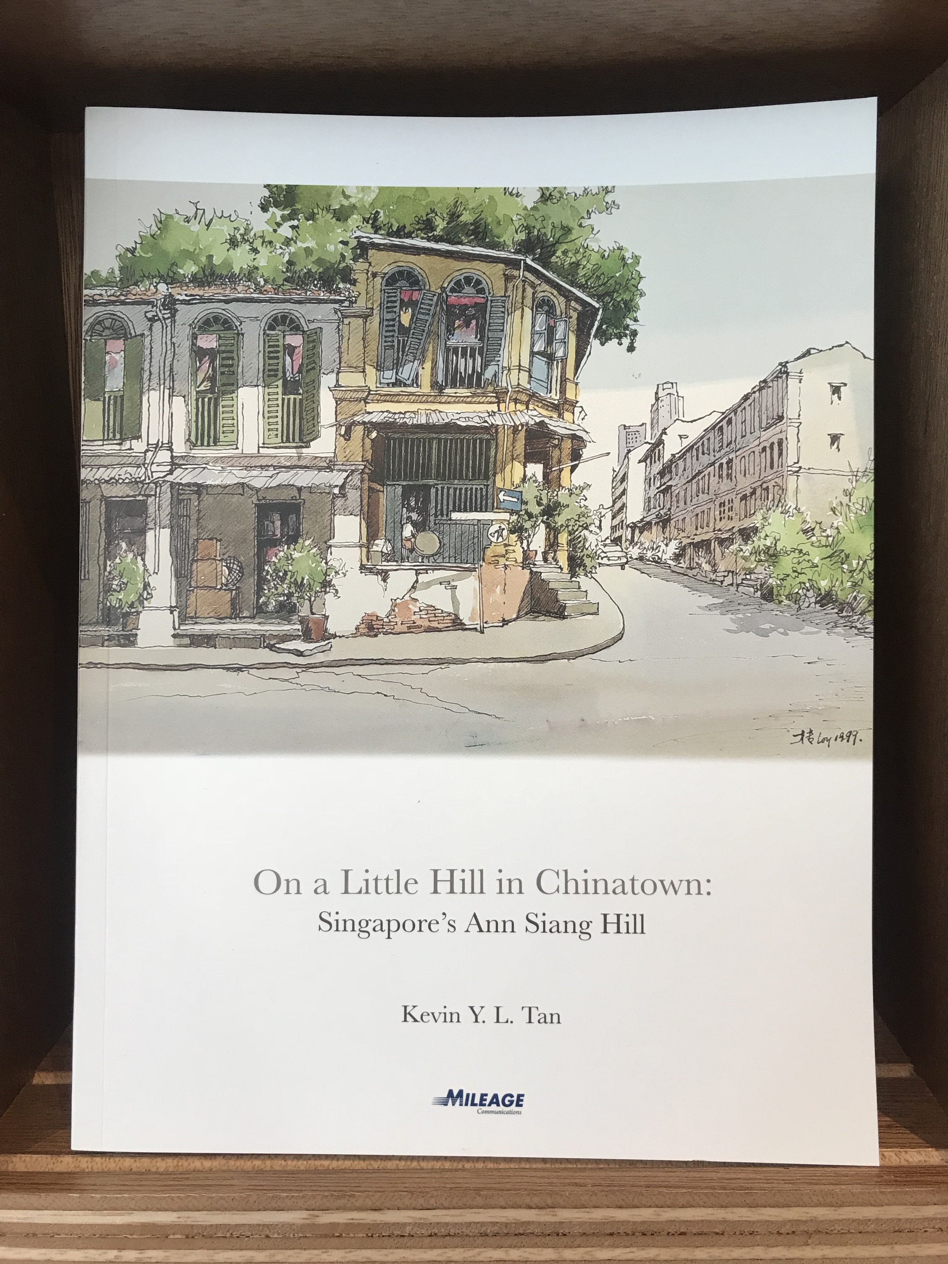 On A Little Hill in Chinatown