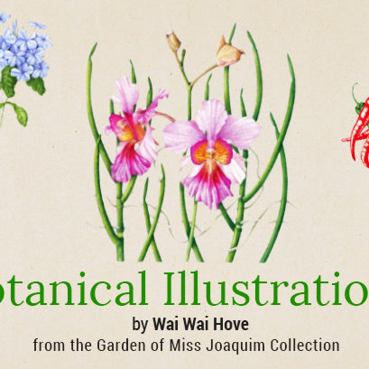 September School Holiday Activity Ideas