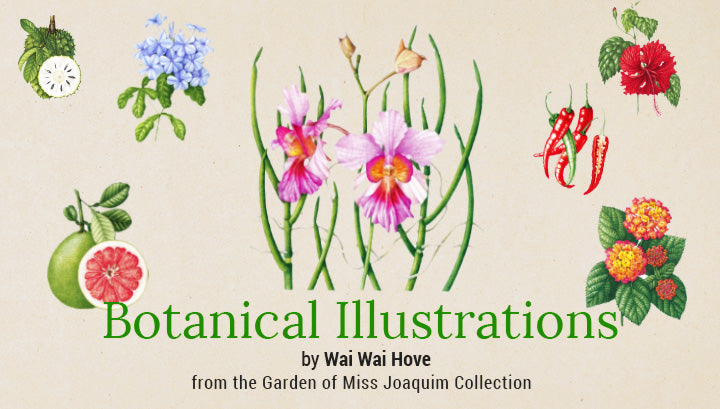 September School Holiday Activity Ideas