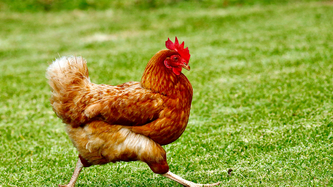 Sabbaticals, sleep, and secret book finds