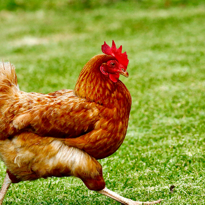 Sabbaticals, sleep, and secret book finds