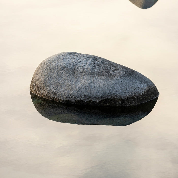 From under my shiny rock to your inbox