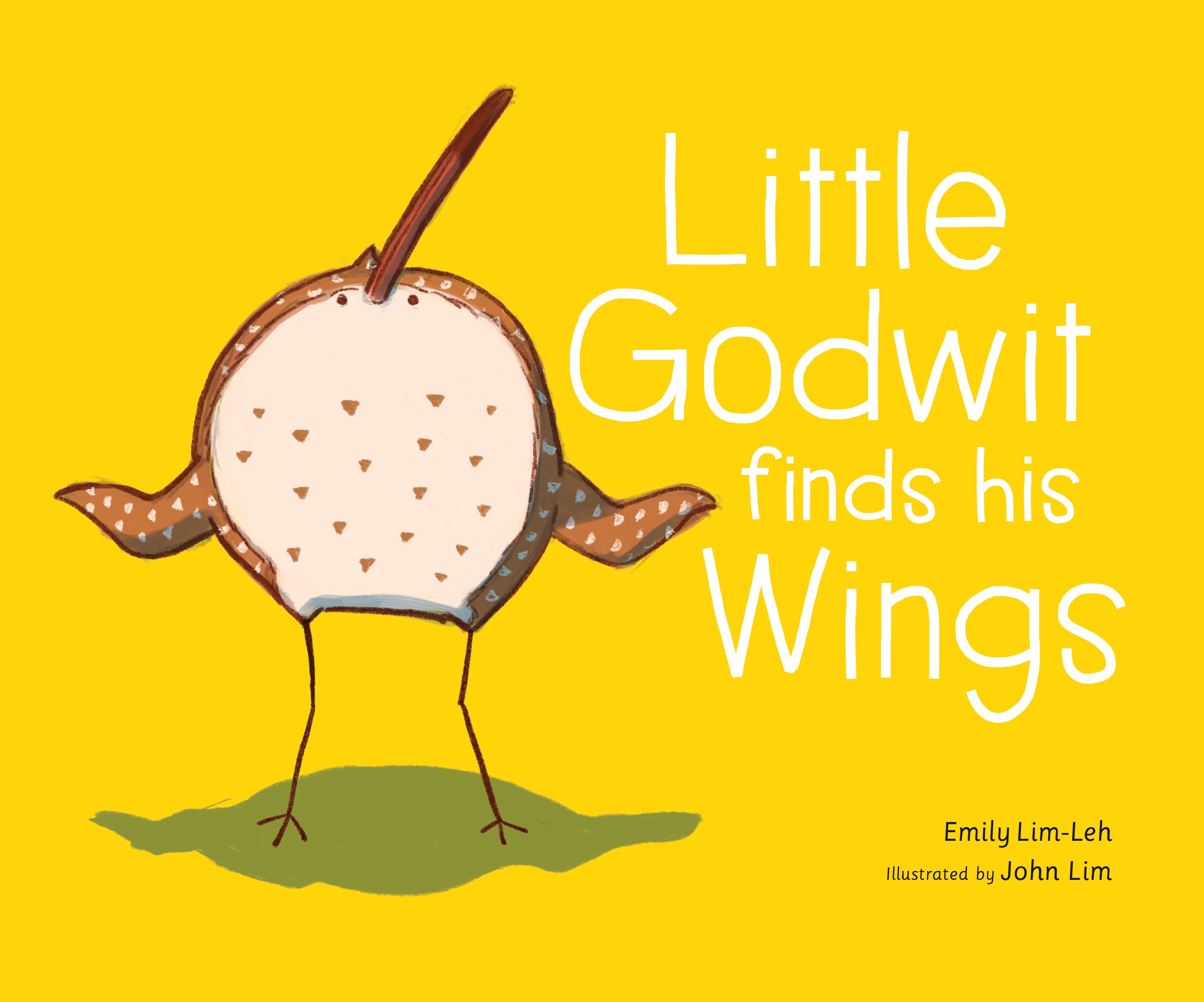Little Godwit Finds His Wings