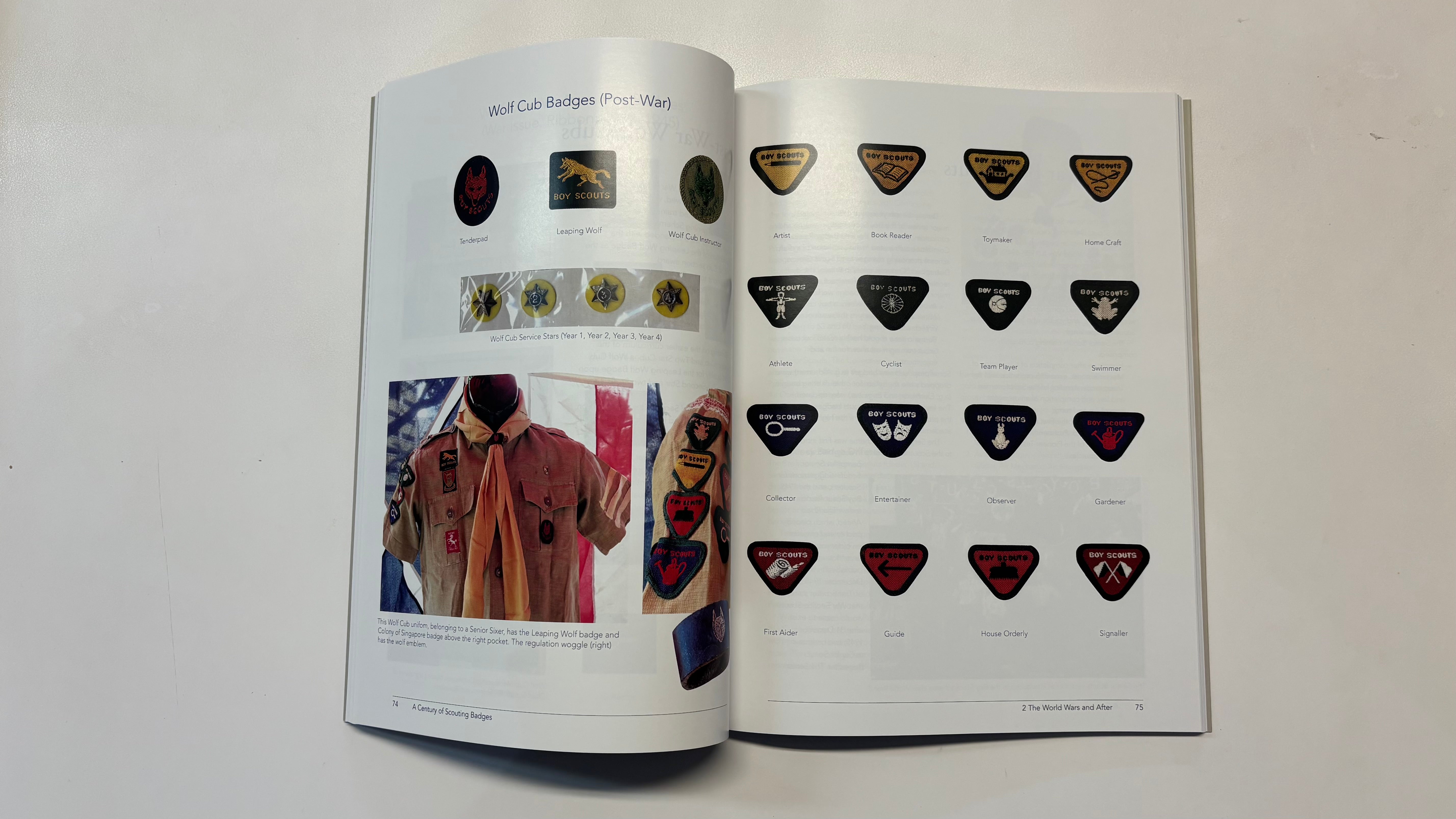 A Century of Scouting Badges