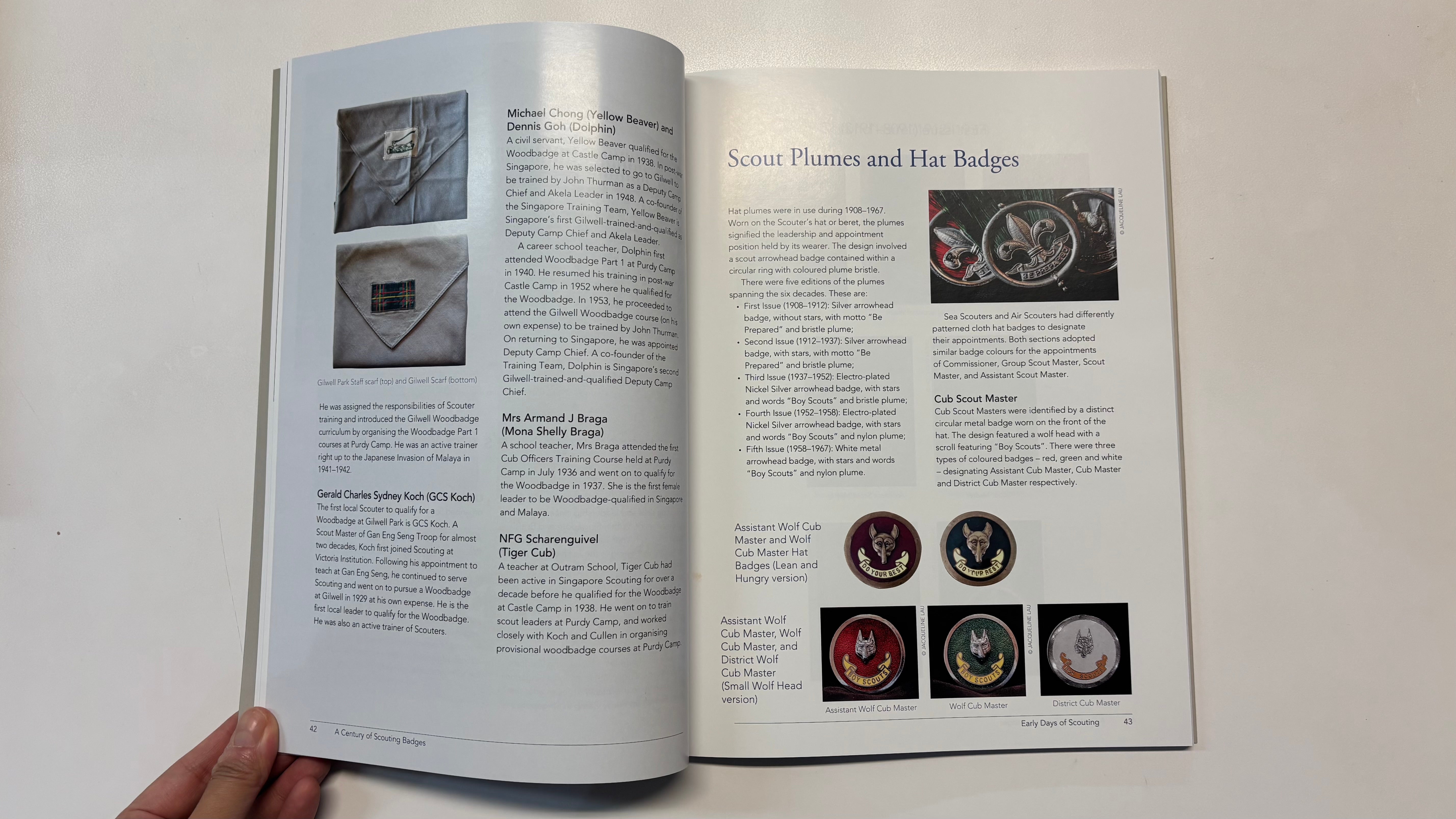 A Century of Scouting Badges