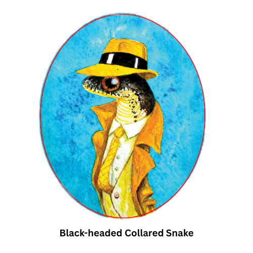 Snakes of Singapore: A Slightly Unhinged Field Guide (Stickers)