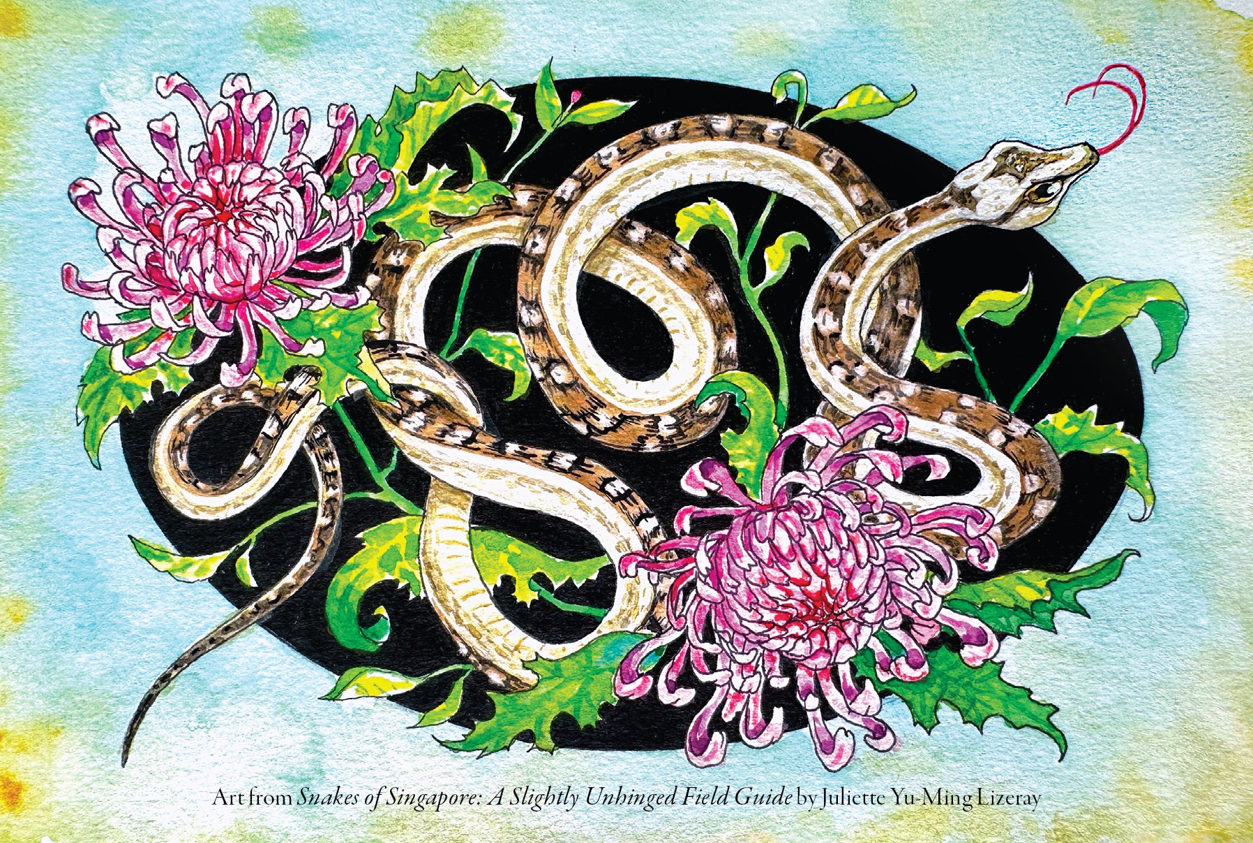 Snakes of Singapore: A Slightly Unhinged Field Guide (Preorder)