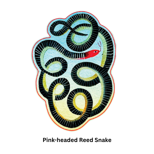 Snakes of Singapore: A Slightly Unhinged Field Guide (Stickers)