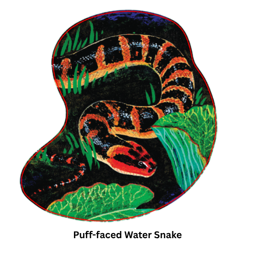 Snakes of Singapore: A Slightly Unhinged Field Guide (Stickers)