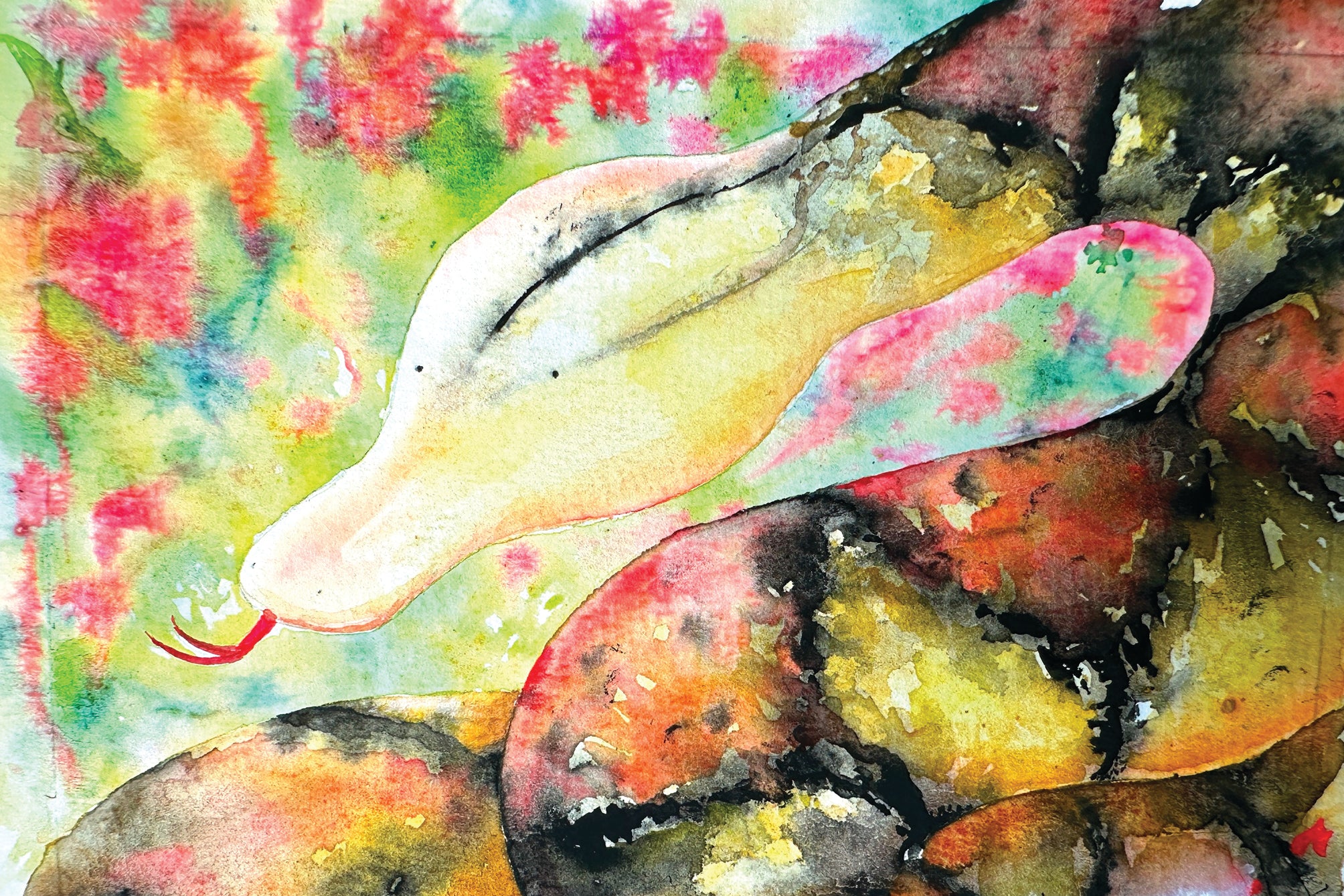 Snakes of Singapore: A Slightly Unhinged Field Guide (Preorder)
