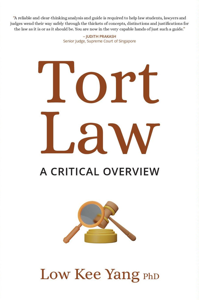 Tort Law: A Critical Overview — Epigram