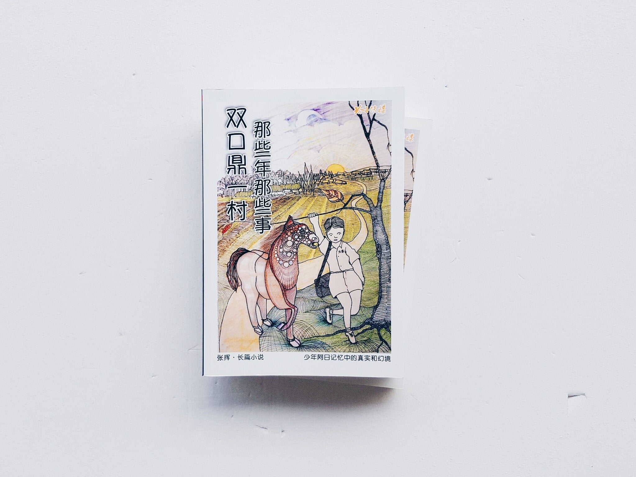 双口鼎一村，那些年那些事