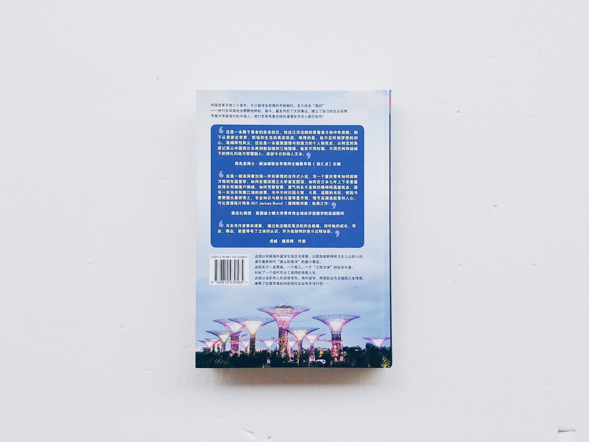 野心蓝图