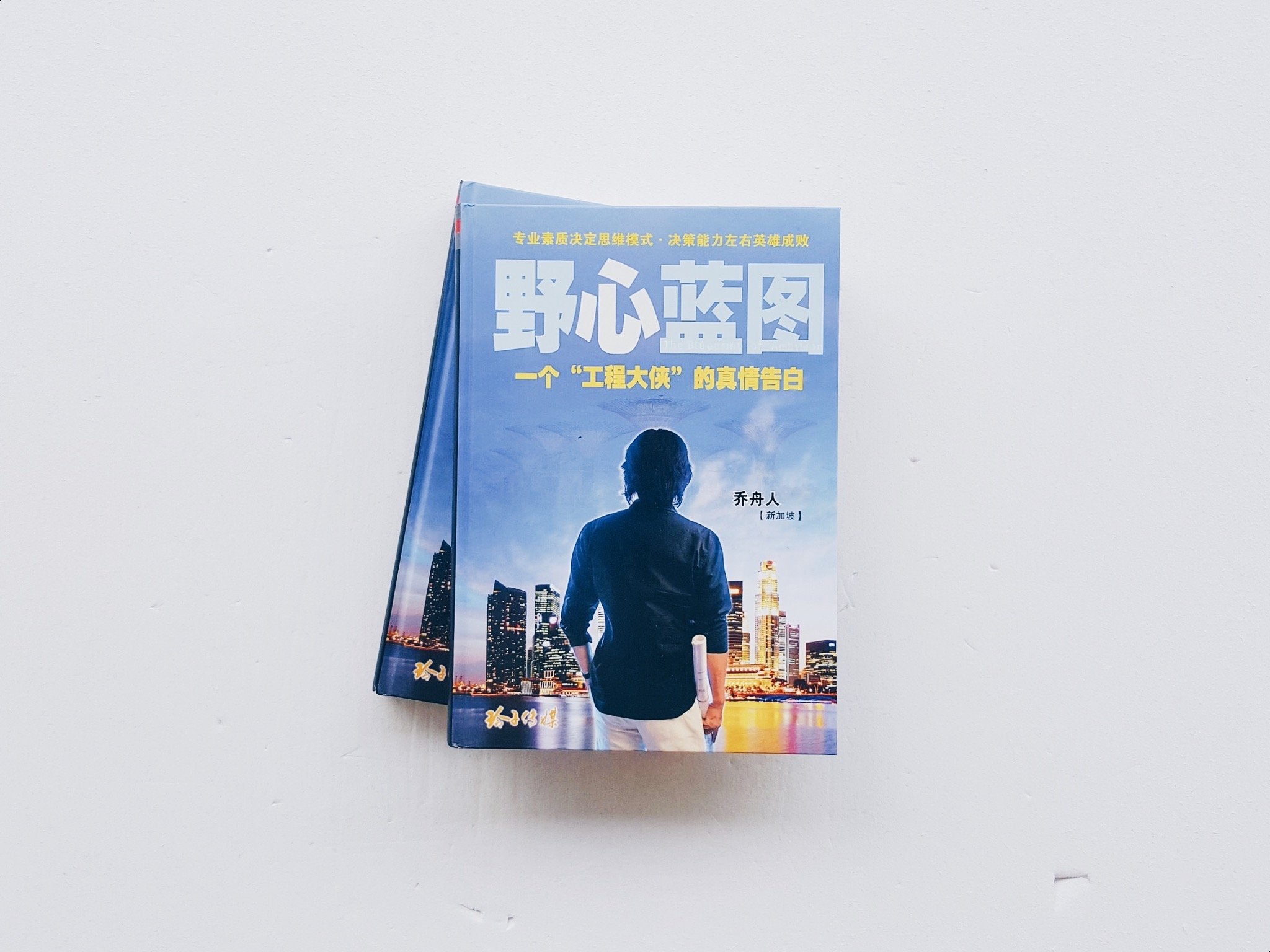 野心蓝图