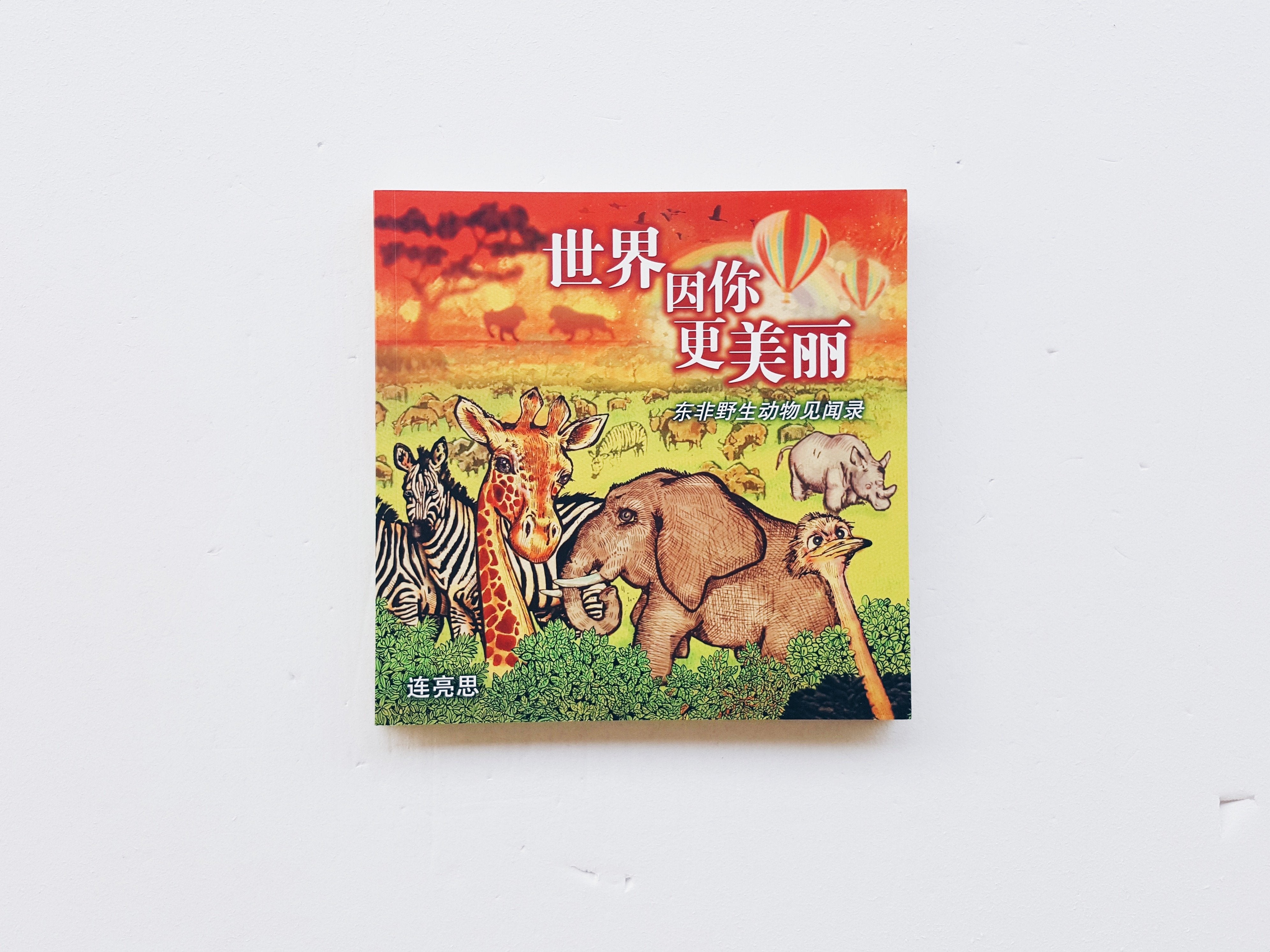 世界因你更美丽