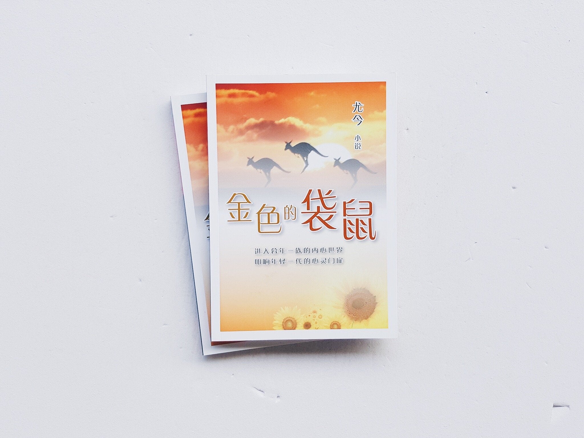 金色的袋鼠