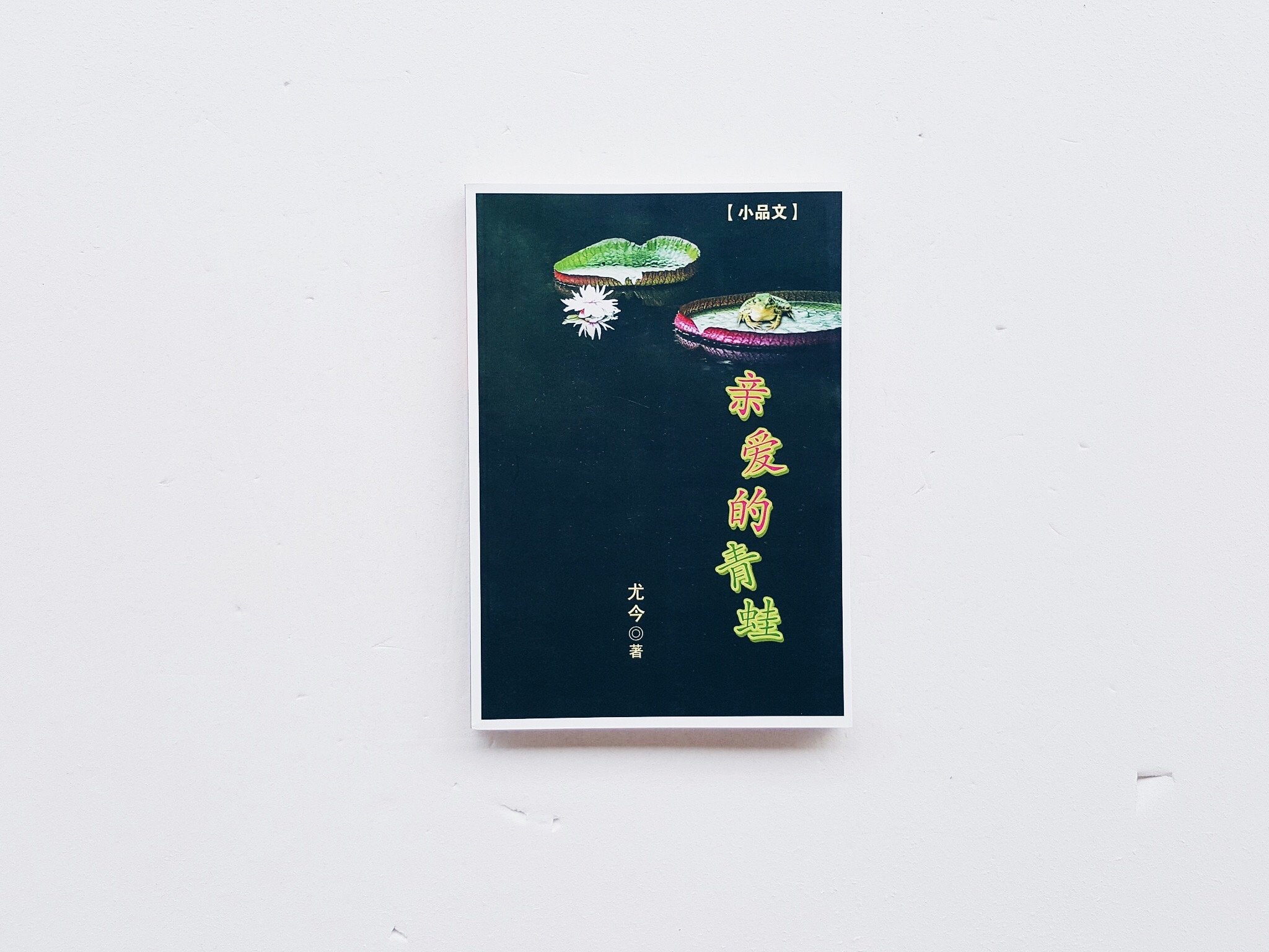 亲爱的青蛙