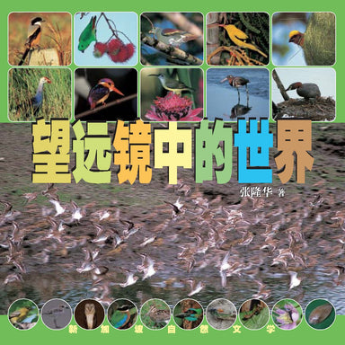 望远镜中的世界