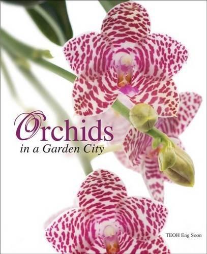 Orchids in a Garden