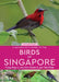 A Naturalist’s Guide to: The Birds of Singapore