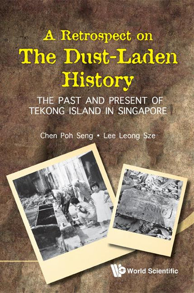 A Retrospect on the Dust-Laden History