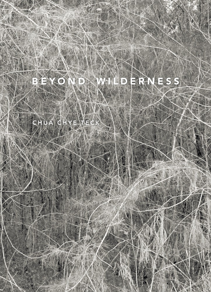 Beyond Wilderness