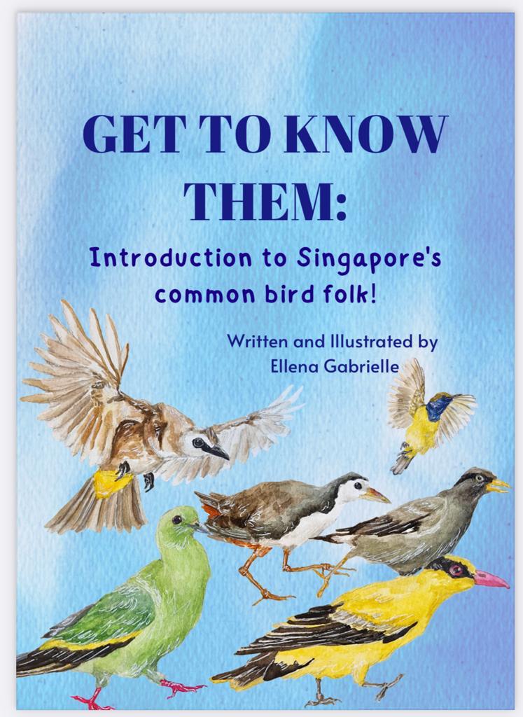 Get To Know Them: Introduction to Singapore’s Common Bird Folk!