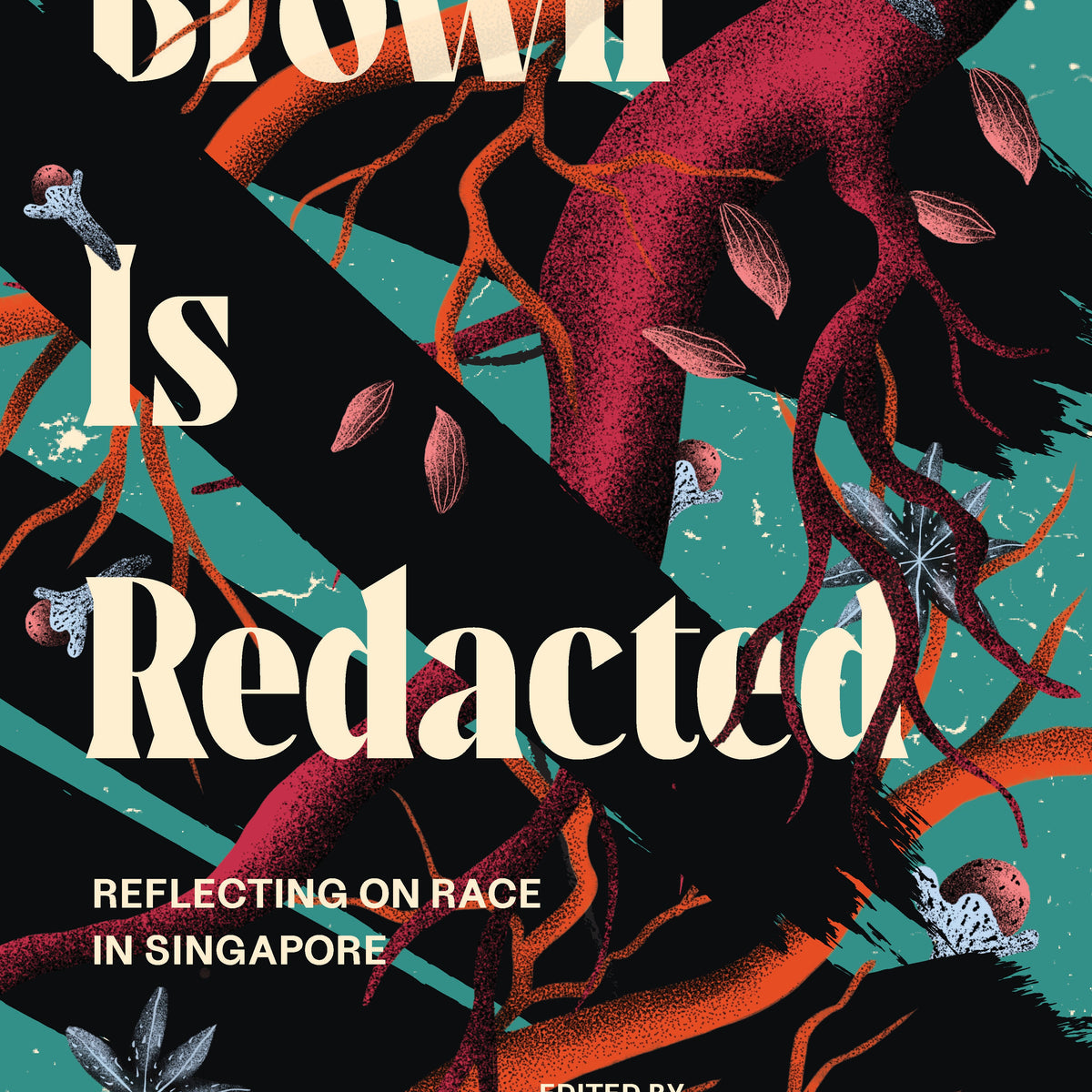 Brown is Redacted: Reflecting on Race in Singapore — Epigram