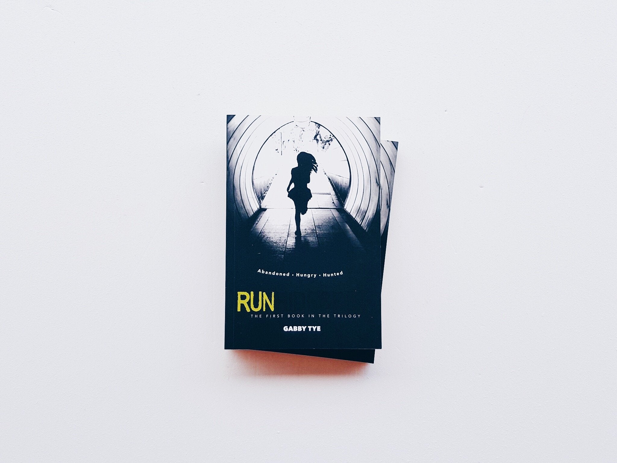 RUN: the first book in the RunHideSeek trilogy