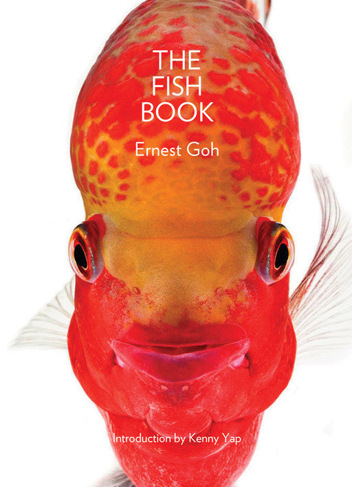 The Fish Book