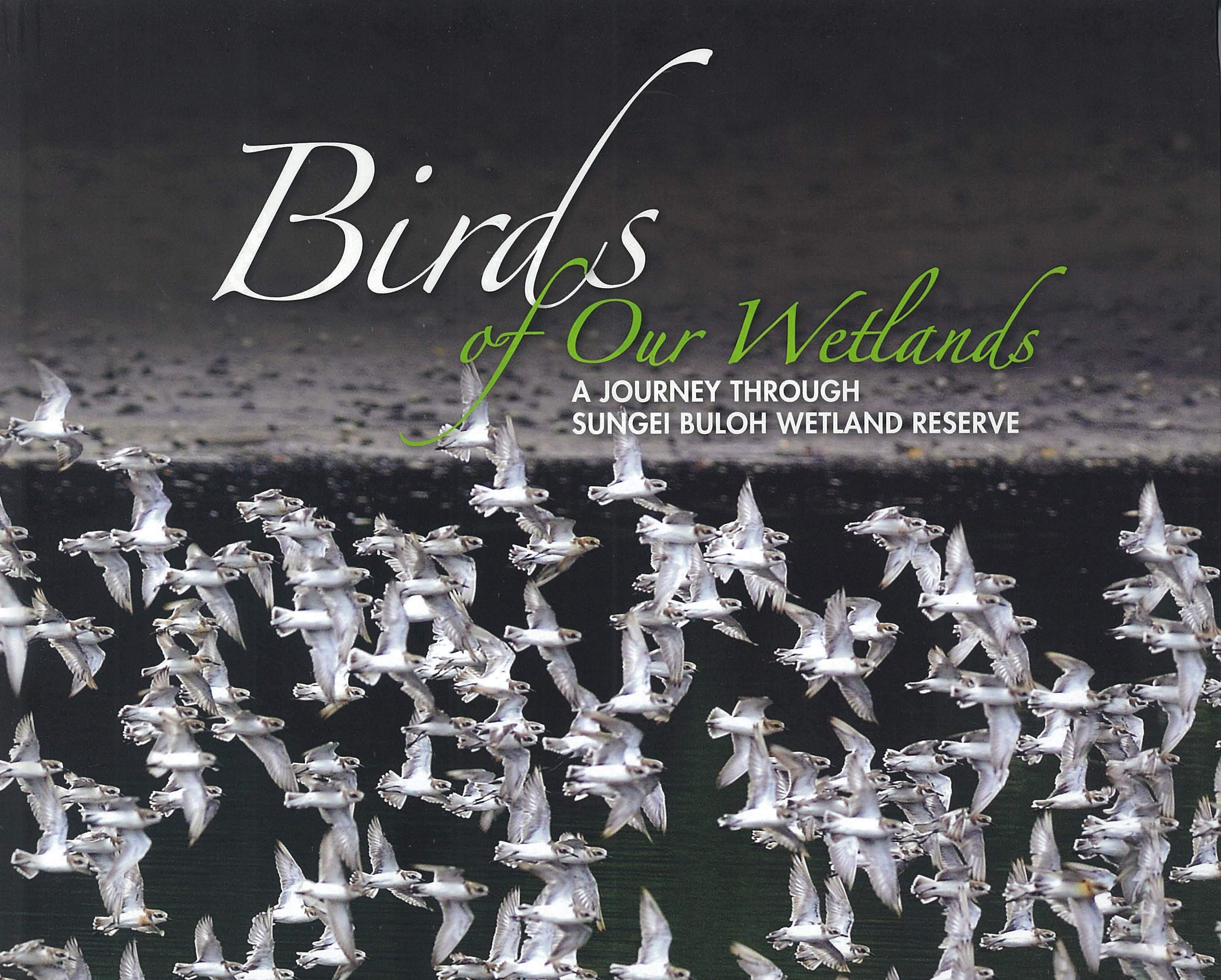 Birds of Our Wetlands: A Journey through Sungei Buloh Wetland Reserve